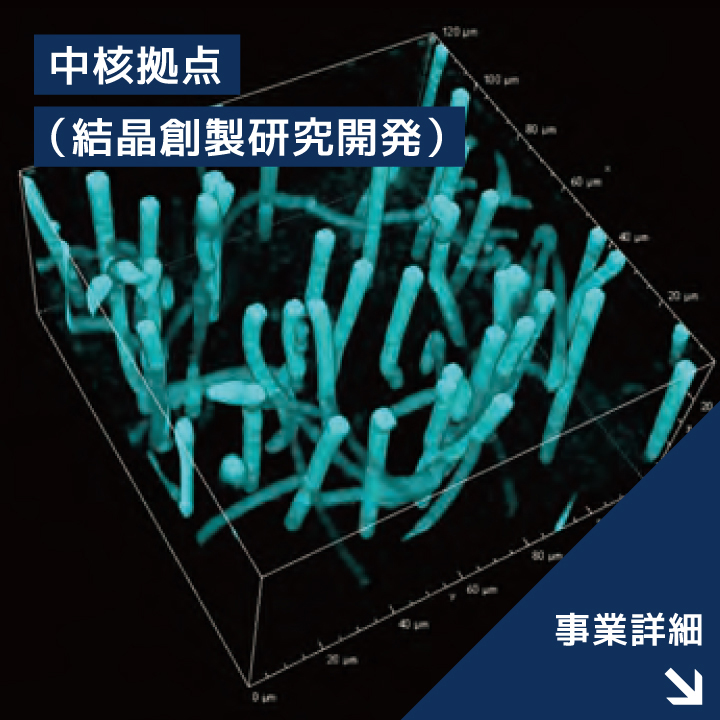 中核拠点事業（結晶創製研究開発）